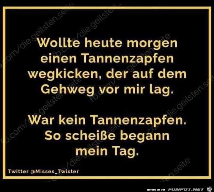 Tannenzapfen