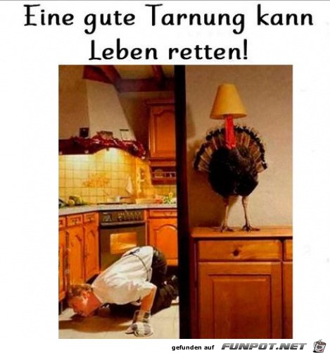 Gute Tarnung