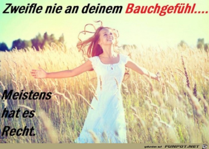 Dein Bauchgefhl