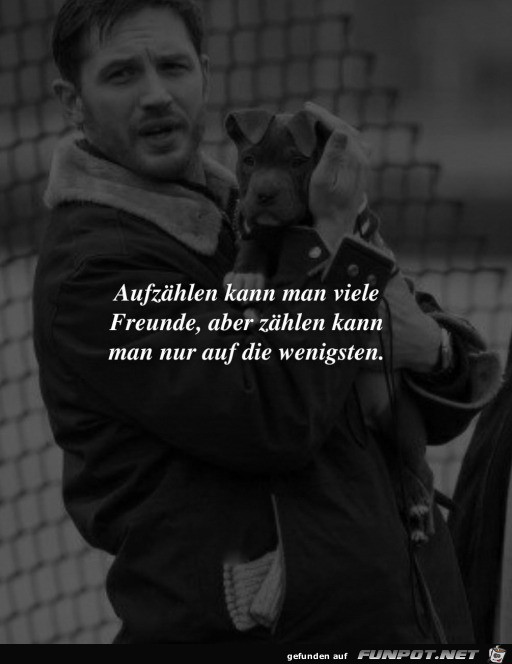 Freunde