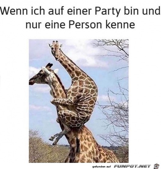 Auf einer Party