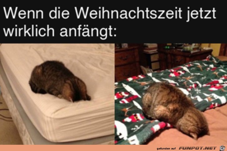 Jetzt fngt die Weihnachtszeit wirklich an