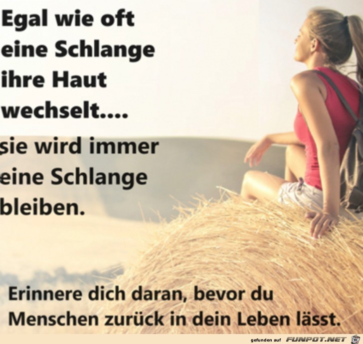 Eine Schlange