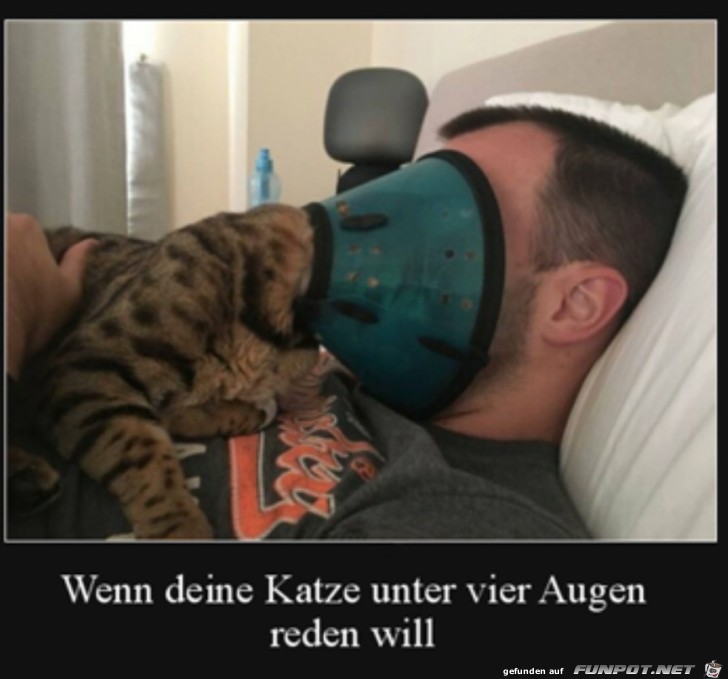 Unter vier Augen