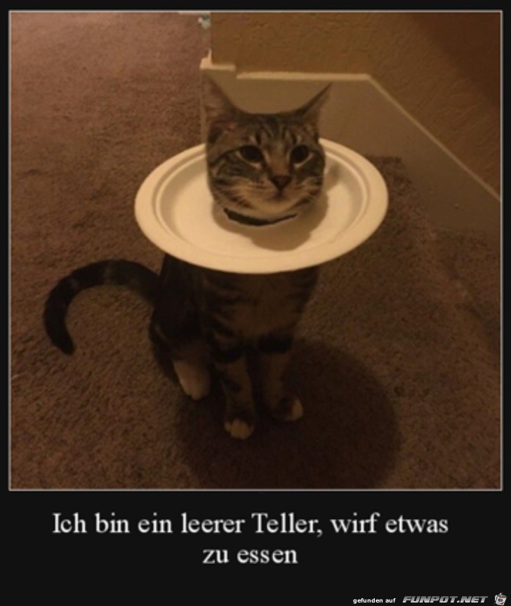 Ein leerer Teller