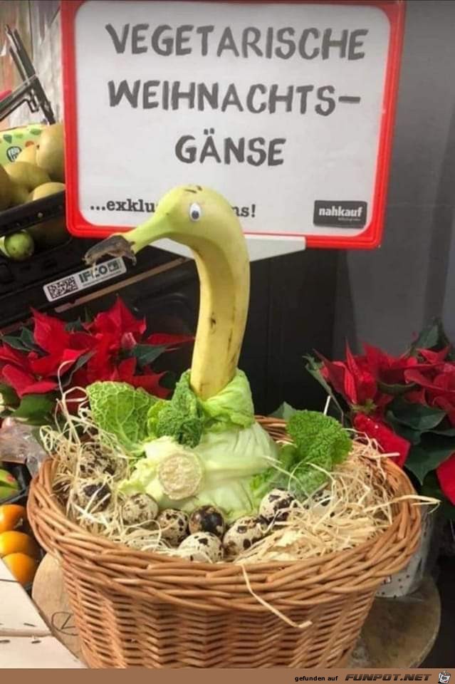 Vegetarische Weihnachtsgnse