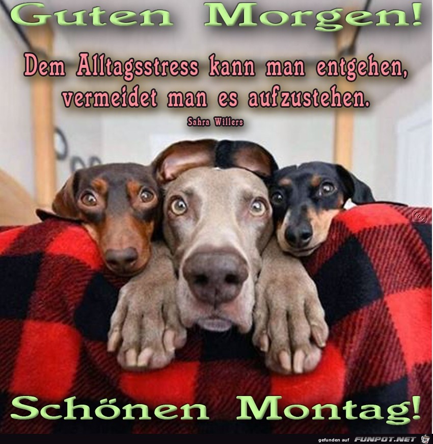 Montag