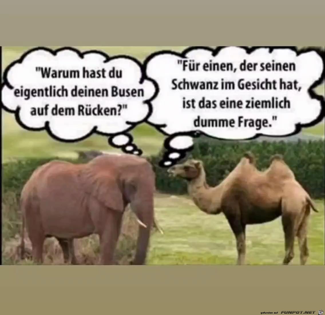 Dumme Frage Dumme Frage