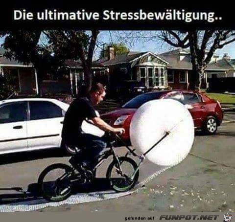 Stressbewältigung Stressbewältigung