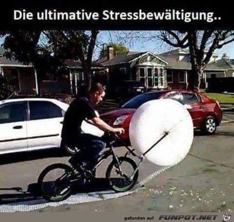 Stressbewltigung