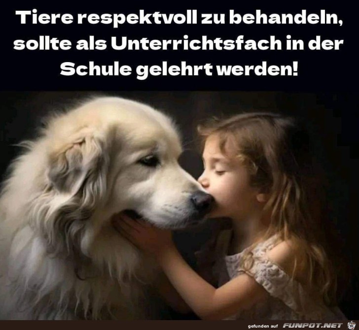 Tiere respektvoll behandeln