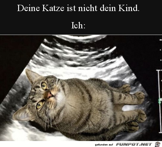 Katze ist nicht dein Kind