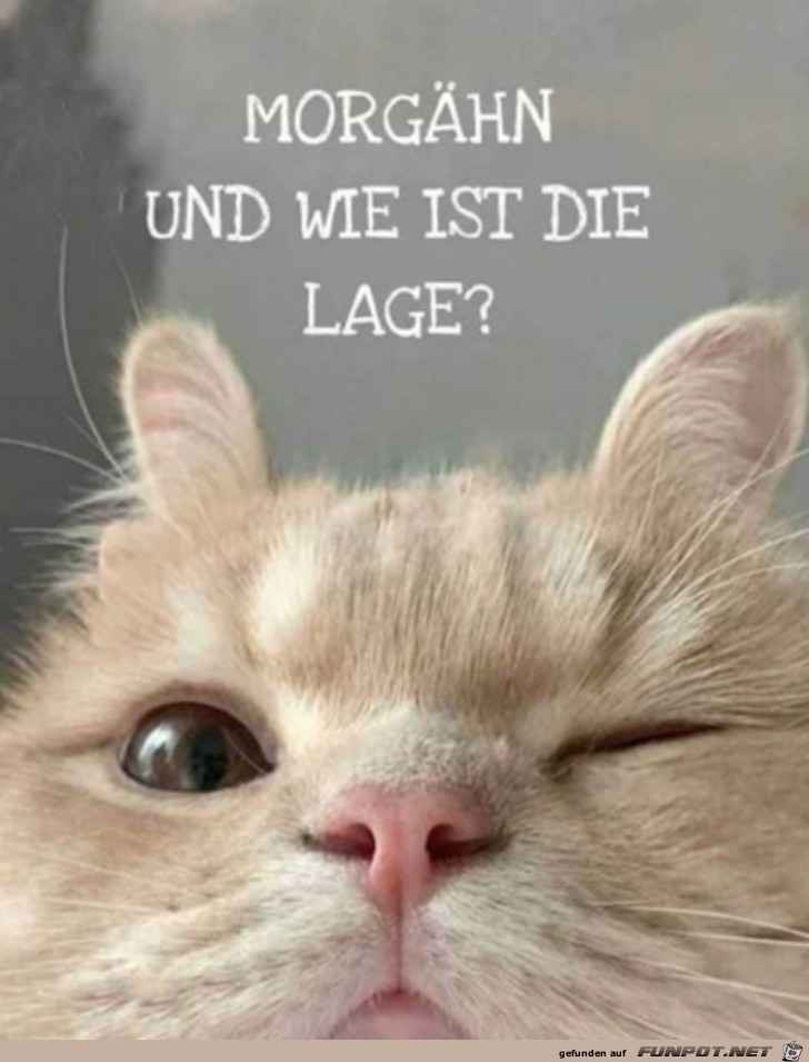 Wie ist die Lage?