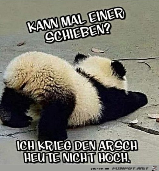Bitte schieben Bitte schieben