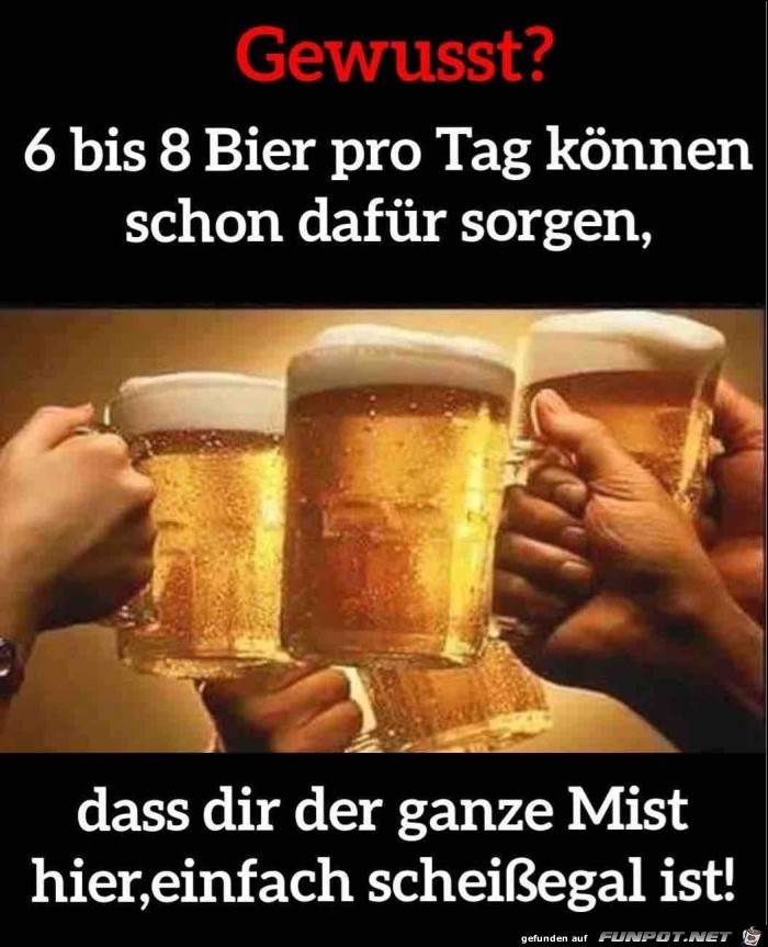 6 bis 8 Bier