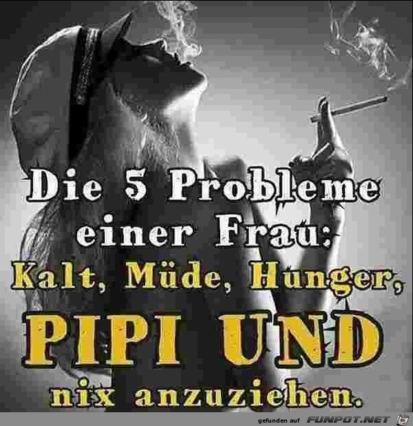 Die 5 Probleme