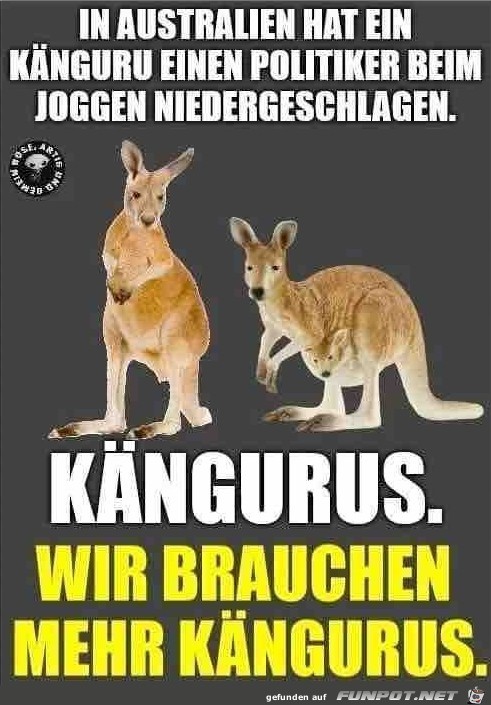 Kngurus