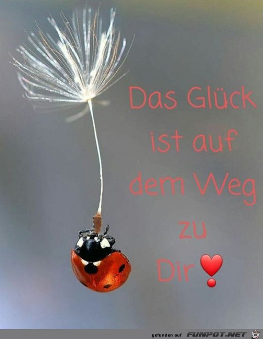 Das Glck kommt zu dir