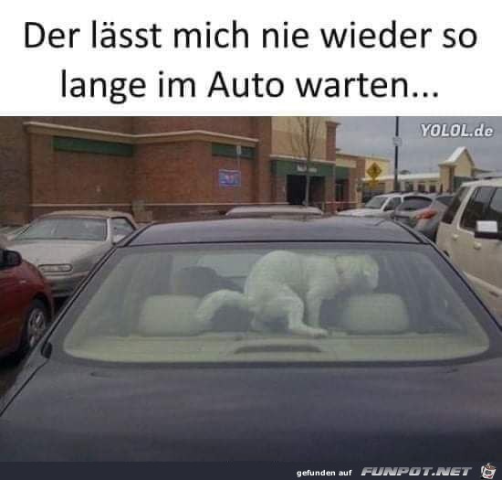 Das ist sicher