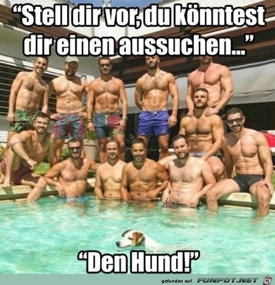 Stell dir vor Stell dir vor