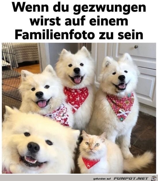 Familienfoto