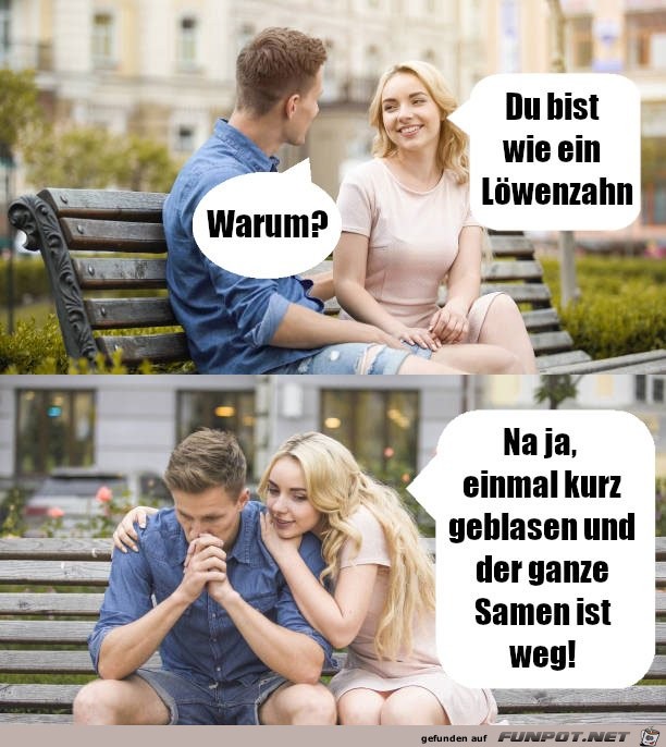 Wie ein Lwenzahn