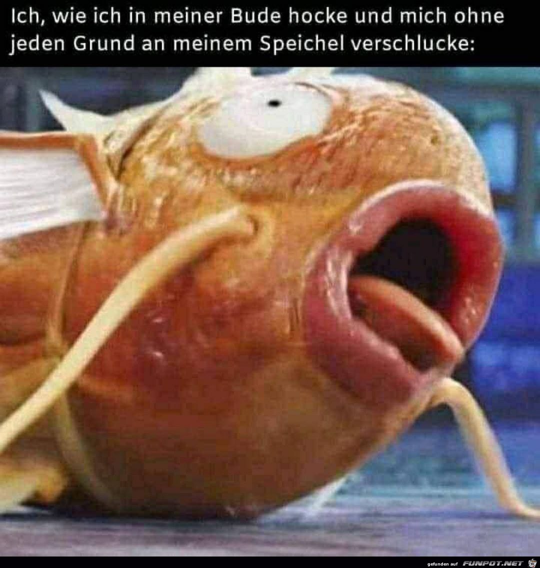 Ohne Grund verschlucken