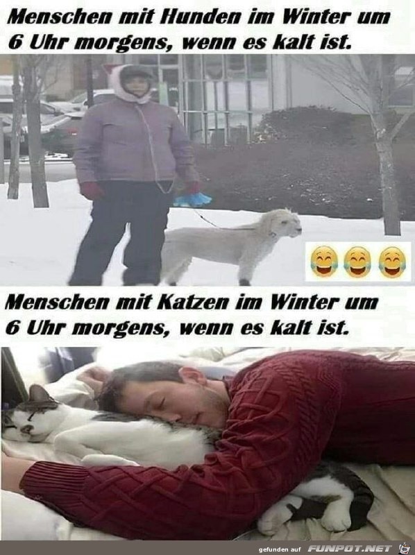 Menschen mit Hunden und Katzen