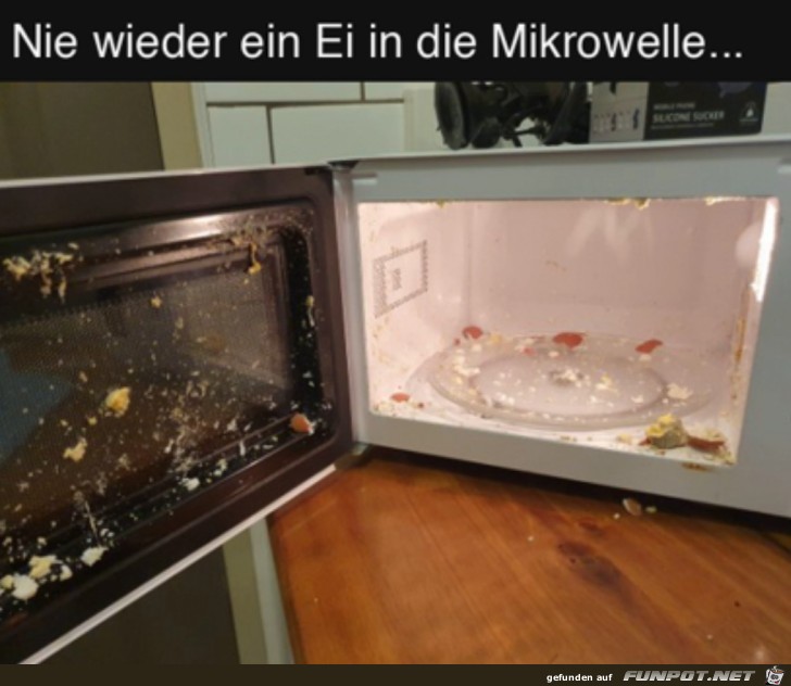 Ei in der Mikrowelle