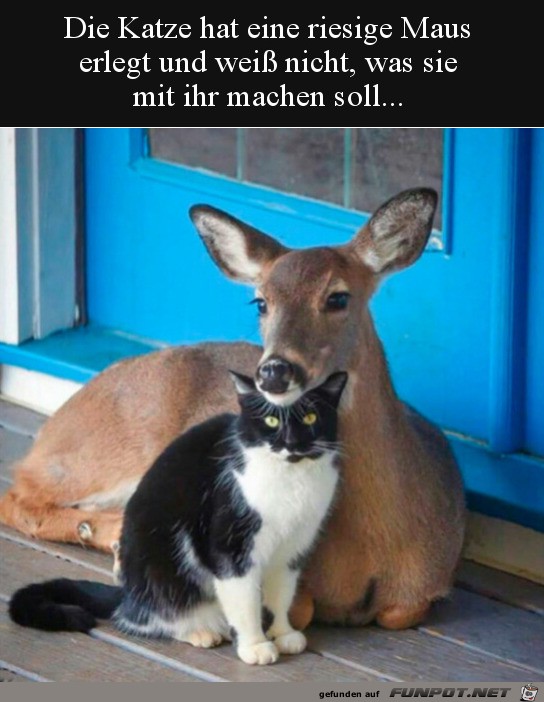 Riesige Maus