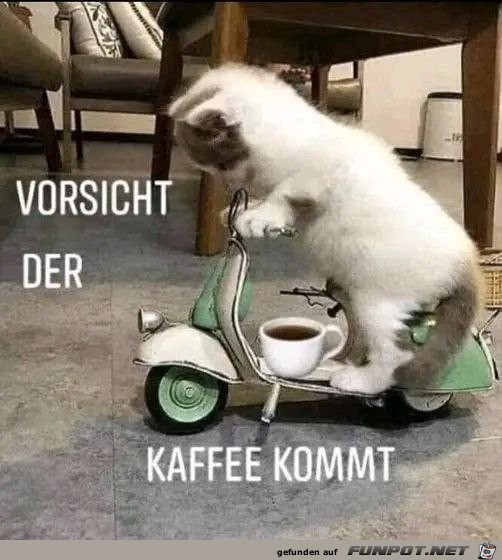 Der Kaffee kommt