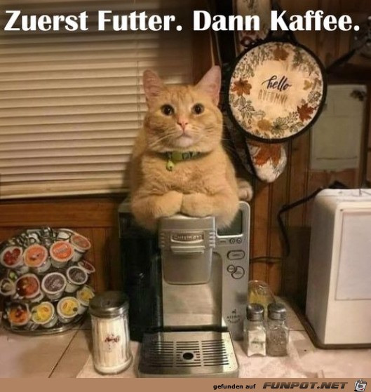 Erst Futter dann Kaffee