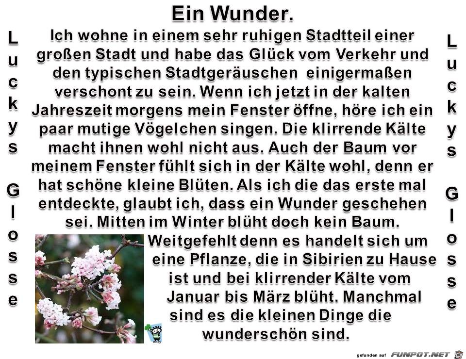 Ein Wunder