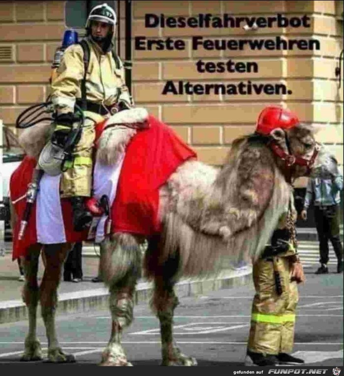 Dieselfahrverbot