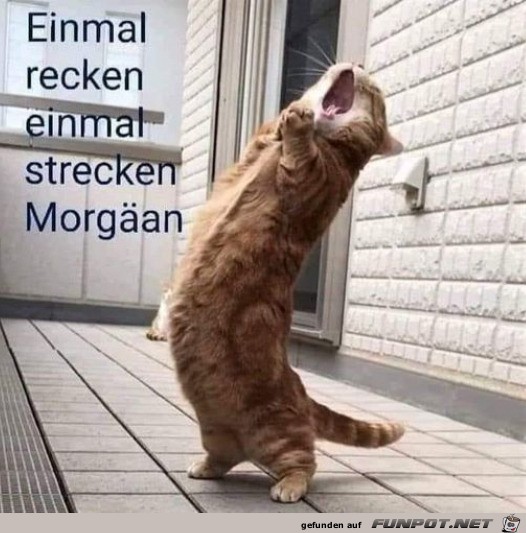 Einmal strecken