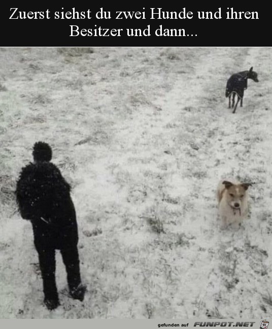 Zuerst siehst du zwei Hunde