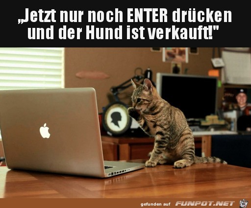 Nur noch Enter drcken