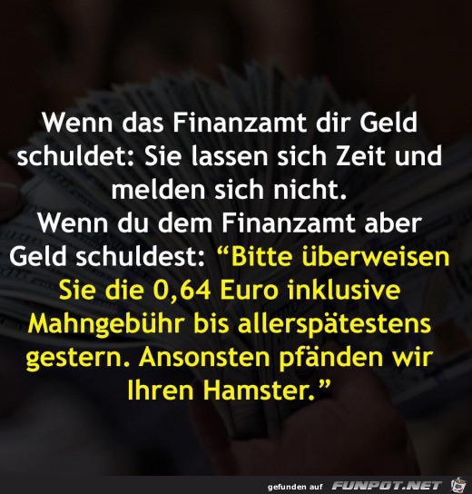 das Finanzamt das Finanzamt