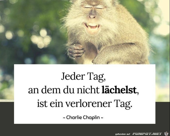 Jeder Tag