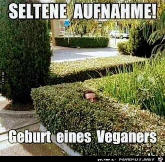 Seltene Aufnahme