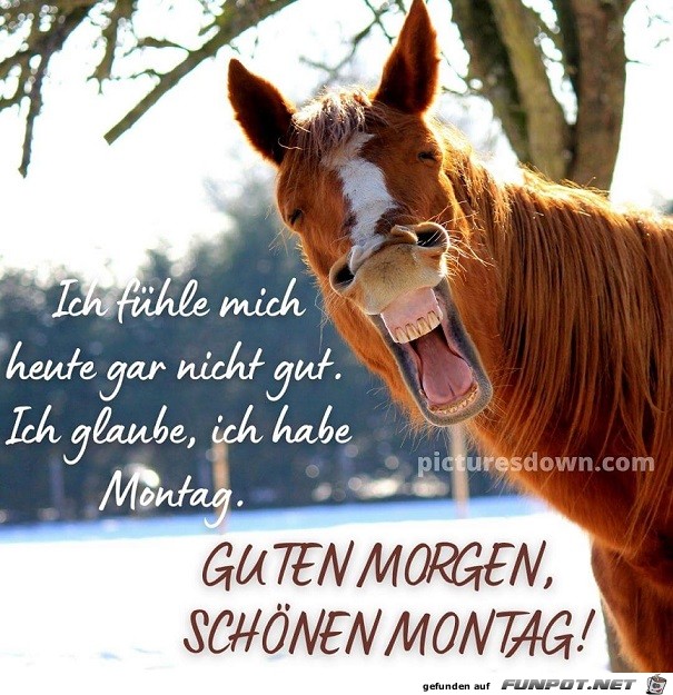 guten-morgen-montag-lustig