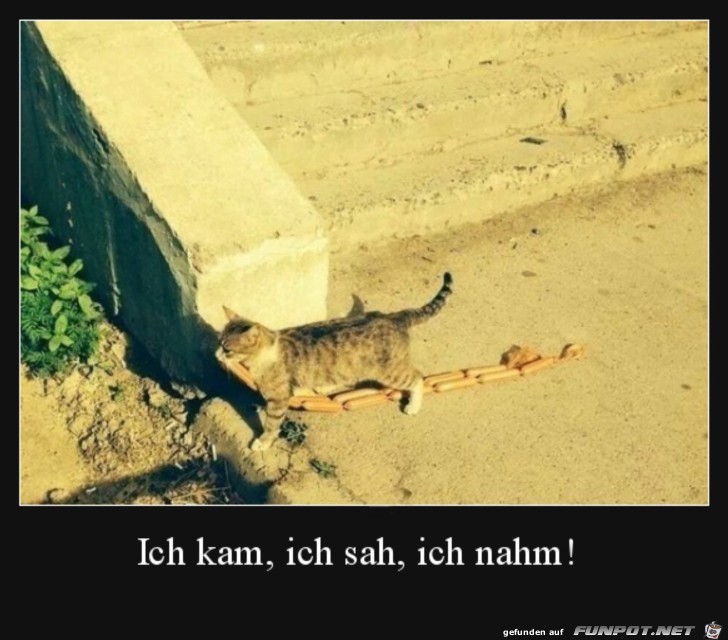 Ich nahm