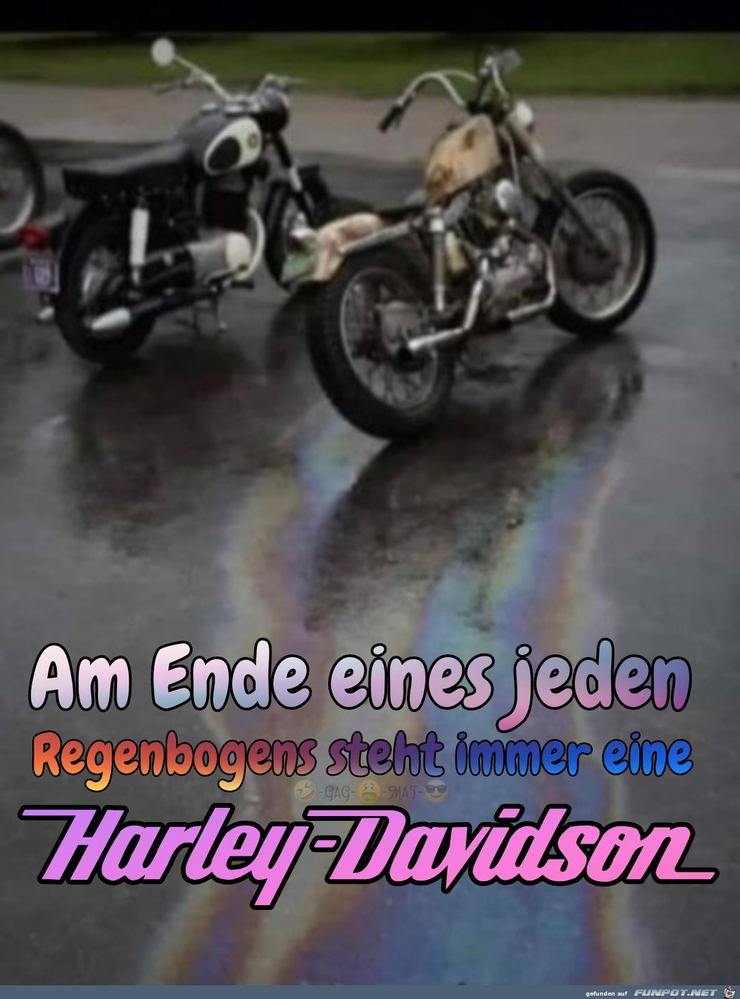 Regenbogen