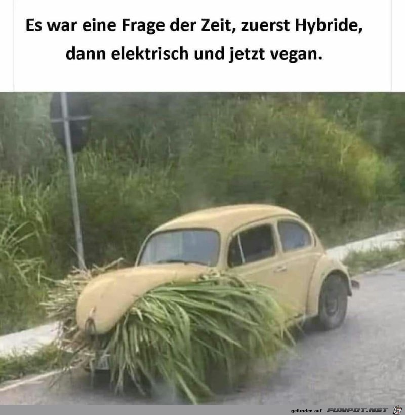 Eine Frage der Zeit