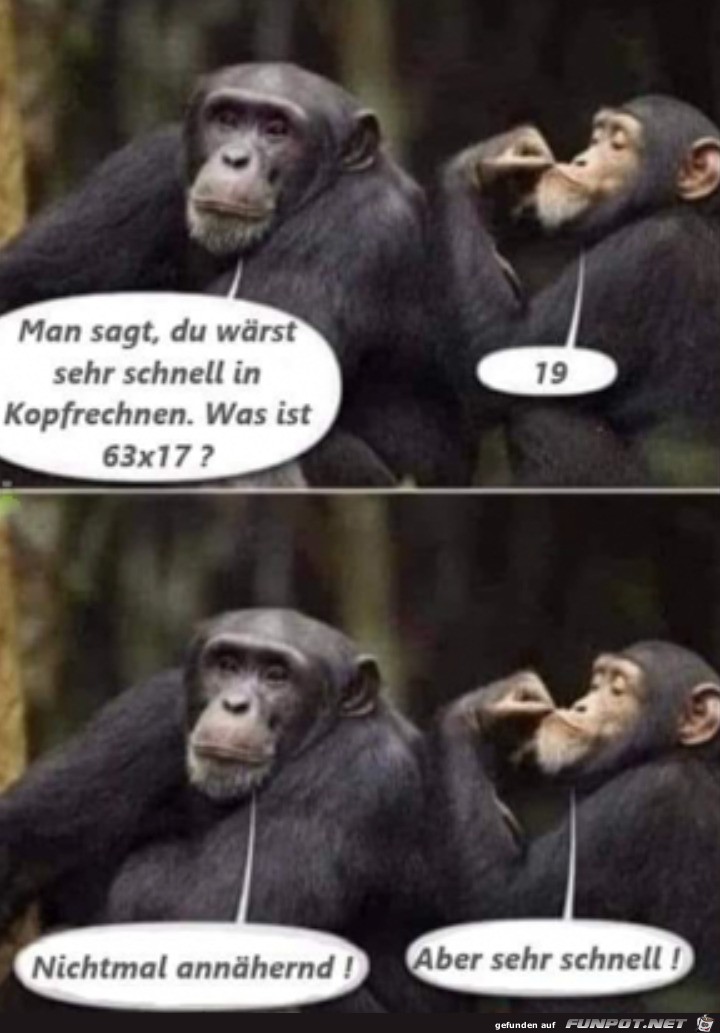 Sehr schnell