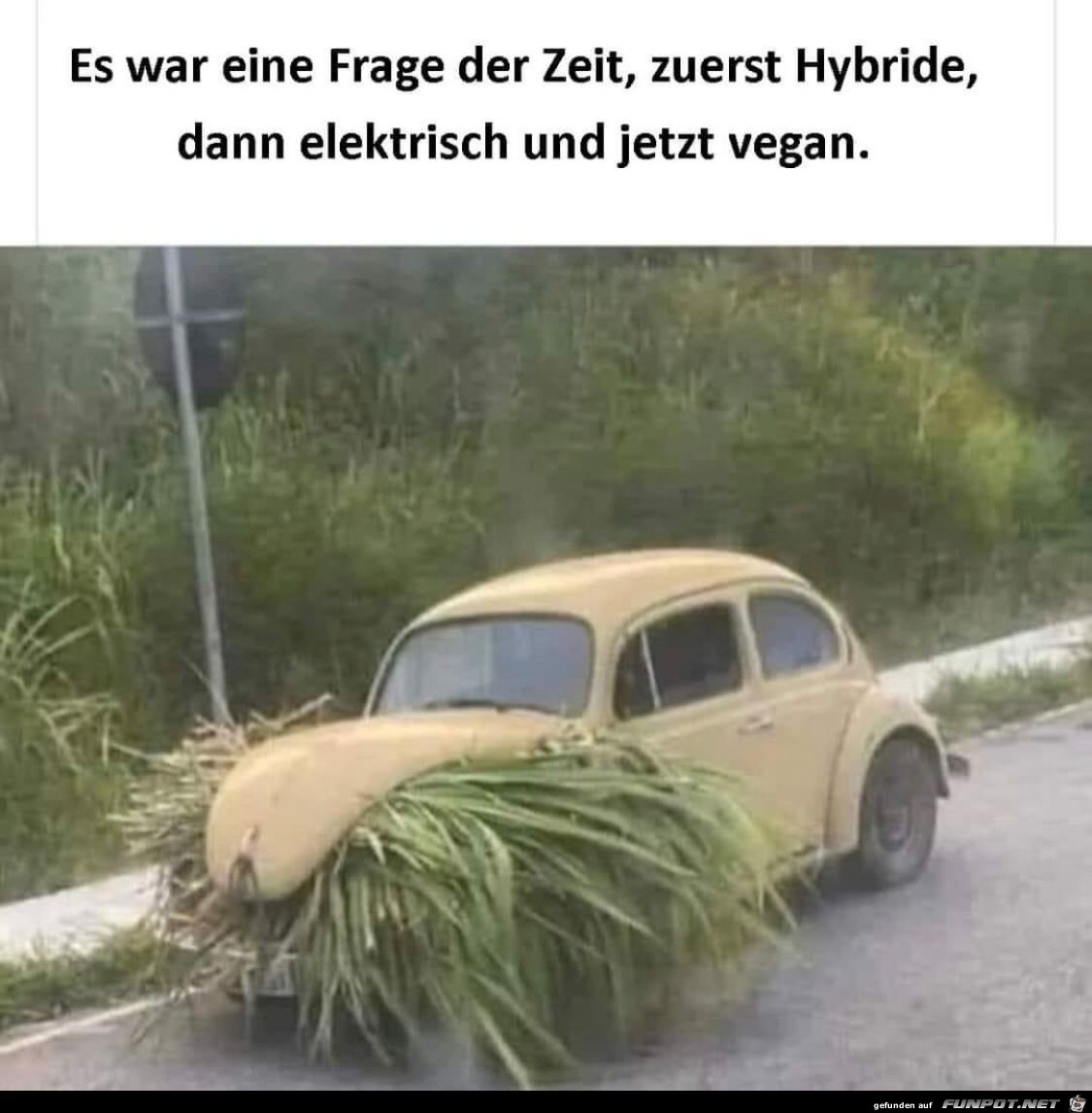 Auto der Zukunft