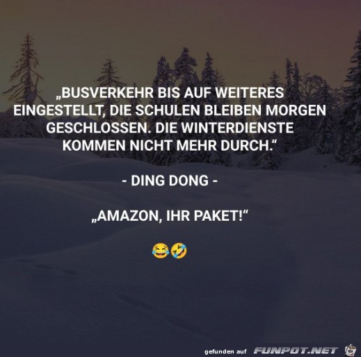 Amazon kommt immer durch