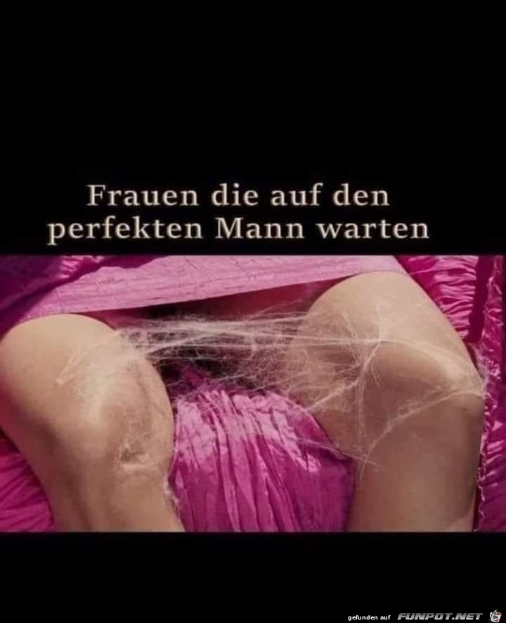 Wenn Frau auf den perfekten Mann wartet.....