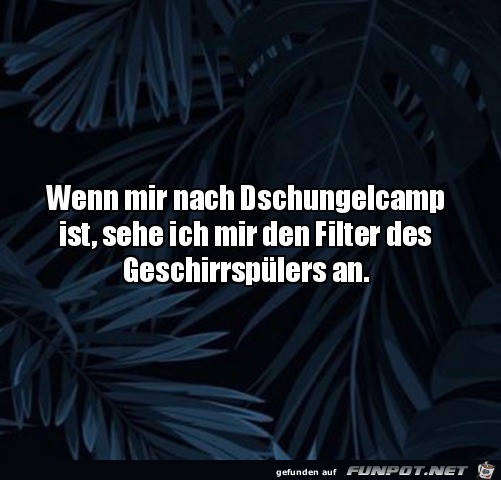 Dschungelcamp Dschungelcamp