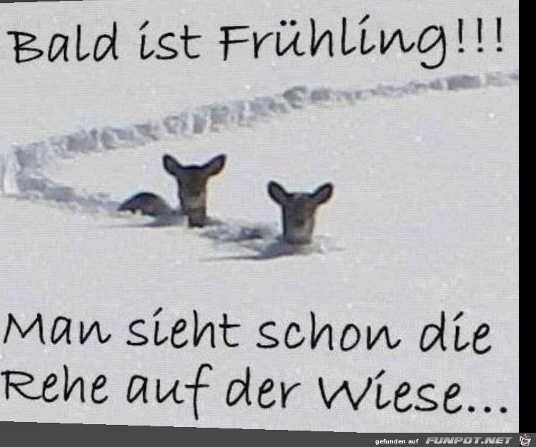 Bald ist Frhling